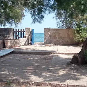Nadina Sant'Andrea (Sardinia)